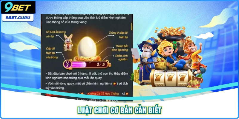 Luật chơi cơ bản cần biết